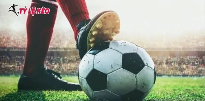 Cập nhật nhanh chóng về thông tin xếp hạng - kèo cược