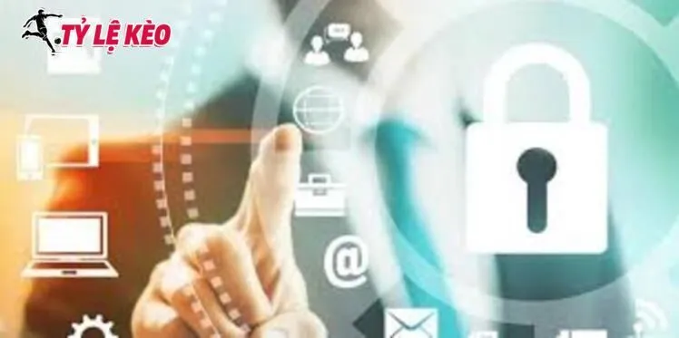 Thông tin dữ liệu người dùng được nhà cái lưu trữ ở đâu?