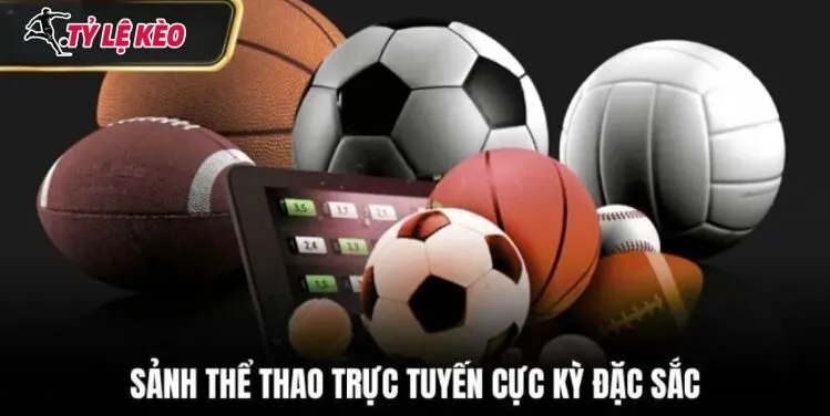 Sảnh thể thao chuyên nghiệp của nhà cái Haywin