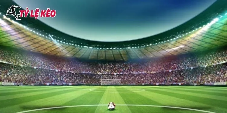 Theo dõi sát sao biến động chọn thời điểm đặt cược hợp lý