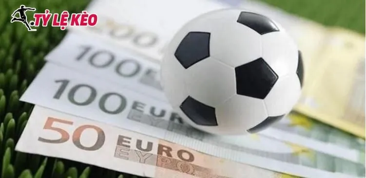 Hiểu được cách chơi tài xỉu 2 trái giúp tăng tỉ lệ thắng khi đặt cược kèo nay