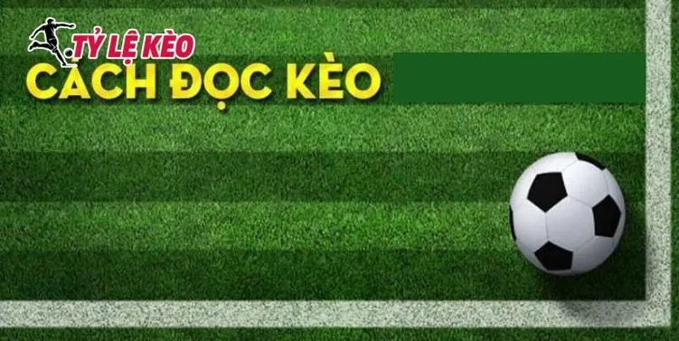 Cách đọc kèo đồng banh Tỷ lệ kèo
