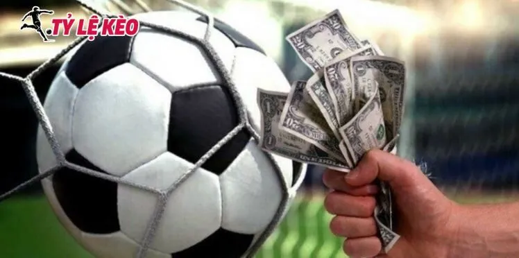 Nắm vững mẹo chơi kèo rung giúp nâng cao tỷ lệ thắng