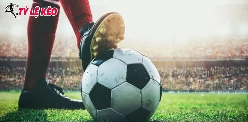 Các loại Tỷ lệ kèo nên chơi