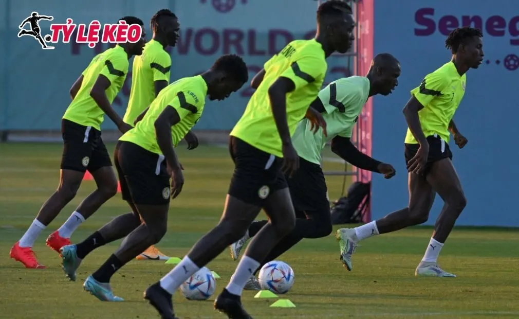 Đội tuyển Senegal hoàn thiện chiến thuật