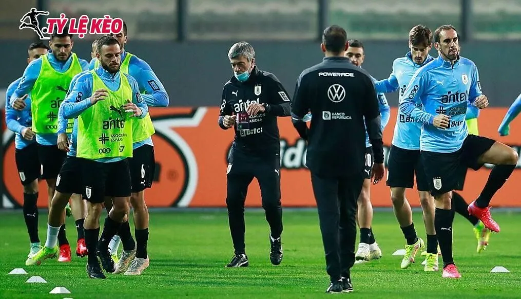 Đội tuyển Uruguay hoàn thiện chiến thuật