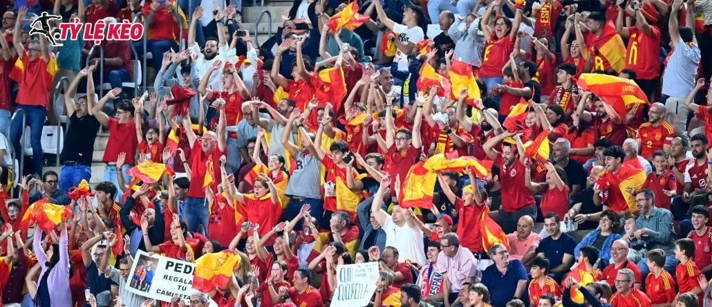 Không khí náo động tại World Cup 2026
