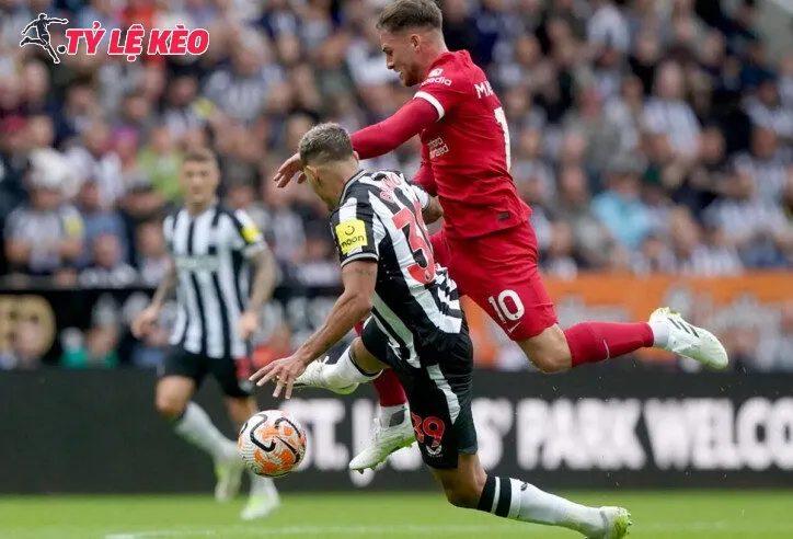 Đôi nét về trận đấu Newcastle vs Liverpool